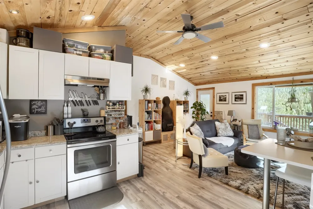 226 Hall Road Bailey, CO 80421
