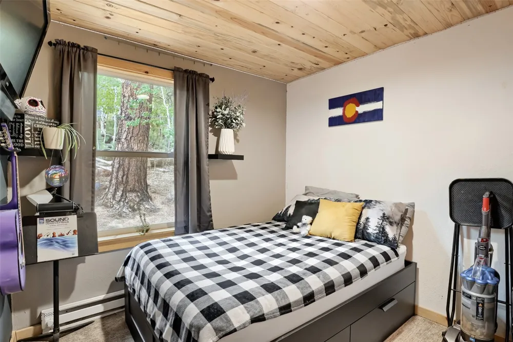 226 Hall Road Bailey, CO 80421