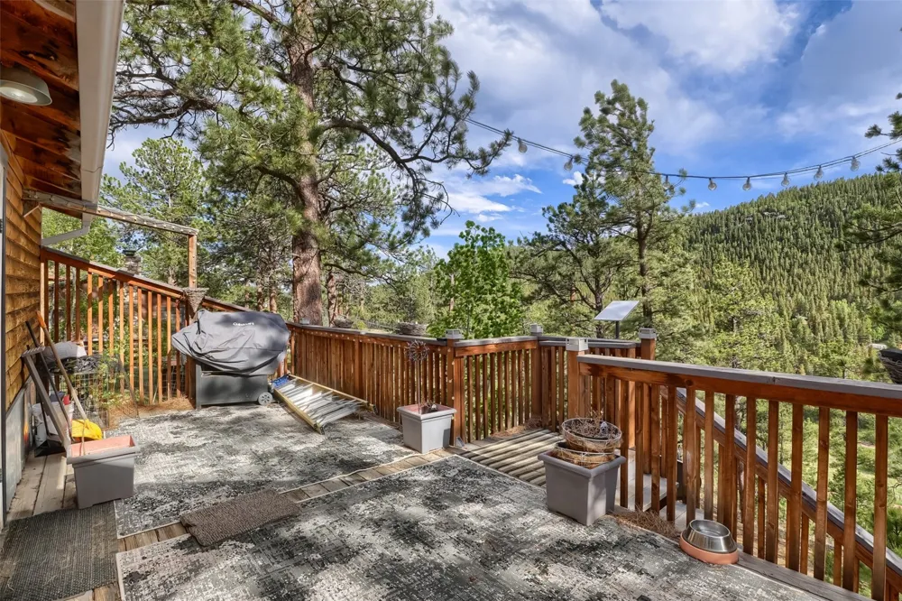 226 Hall Road Bailey, CO 80421