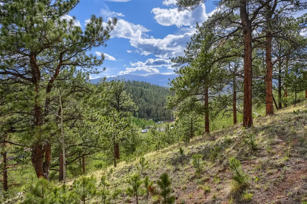 226 Hall Road Bailey, CO 80421
