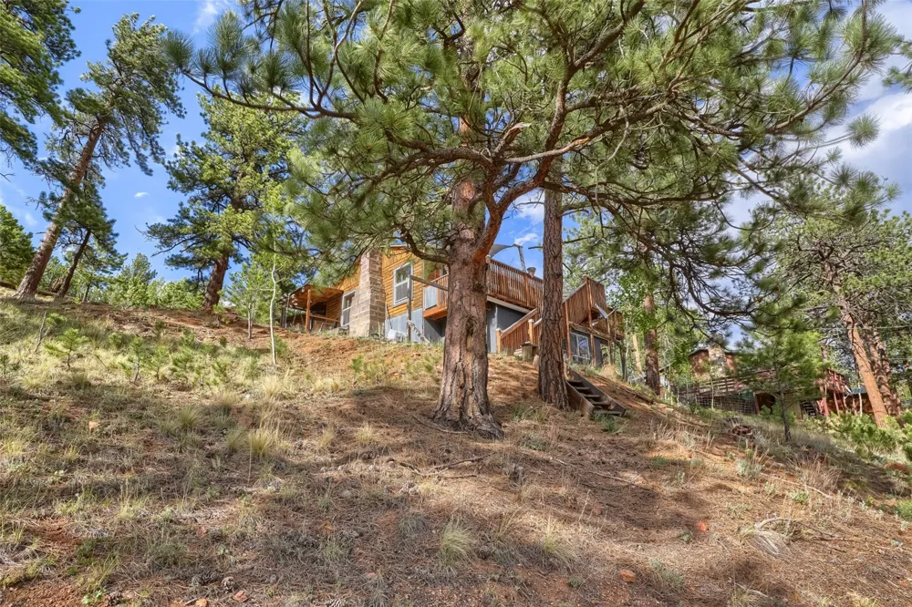 226 Hall Road Bailey, CO 80421