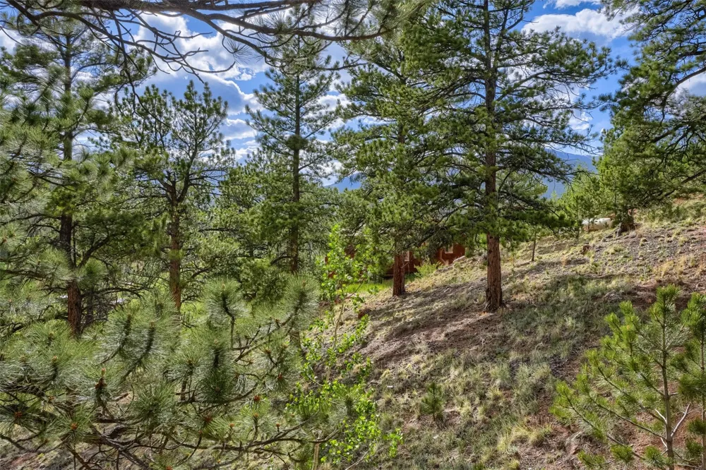 226 Hall Road Bailey, CO 80421