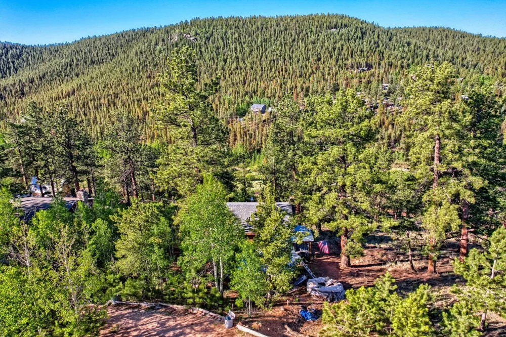 226 Hall Road Bailey, CO 80421
