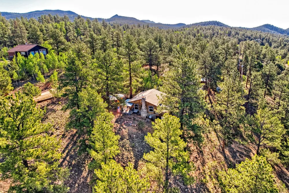 226 Hall Road Bailey, CO 80421