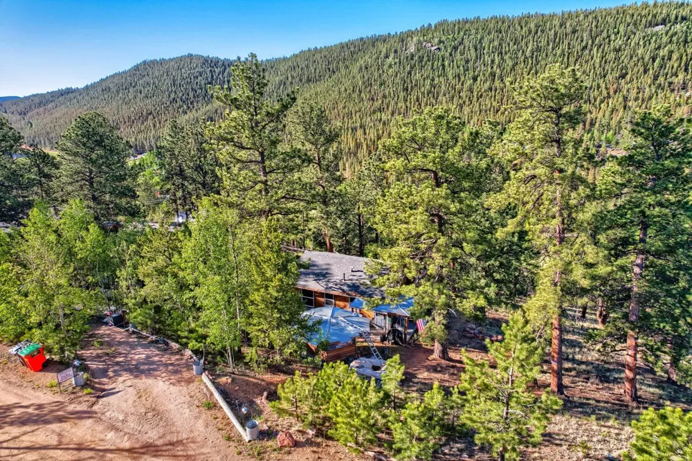 226 Hall Road Bailey, CO 80421