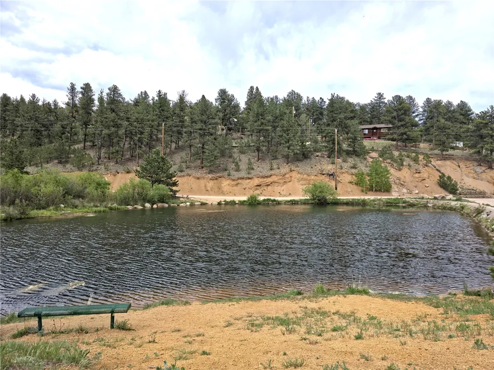 226 Hall Road Bailey, CO 80421