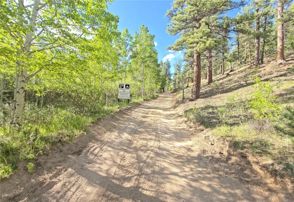 226 Hall Road Bailey, CO 80421