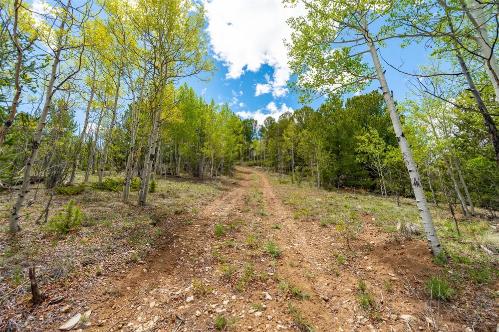 1023 Mexican Ridge Circle Como, CO 80432