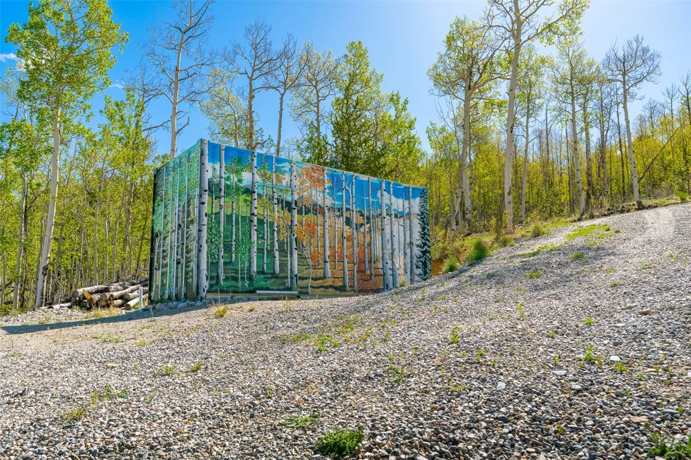 1023 Mexican Ridge Circle Como, CO 80432