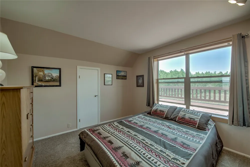 653 VINE ROAD Fairplay, CO 80440