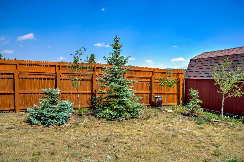 653 VINE ROAD Fairplay, CO 80440