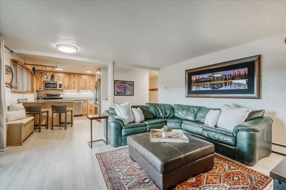 365 Salt Lick Circle #365 Silverthorne, CO 80498