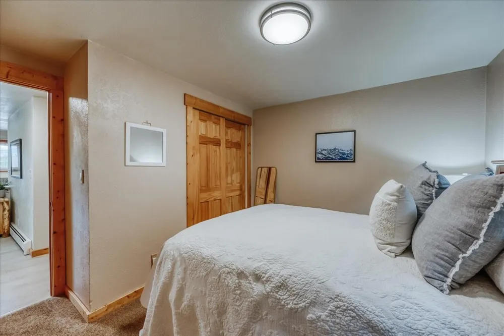 365 Salt Lick Circle #365 Silverthorne, CO 80498