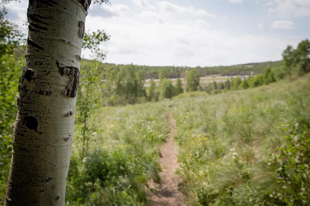 2411 Ryan Gulch Court #2411 Silverthorne, CO 80498
