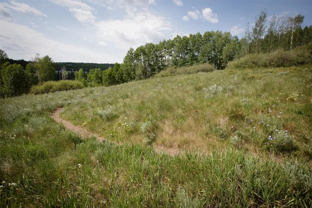 2411 Ryan Gulch Court #2411 Silverthorne, CO 80498