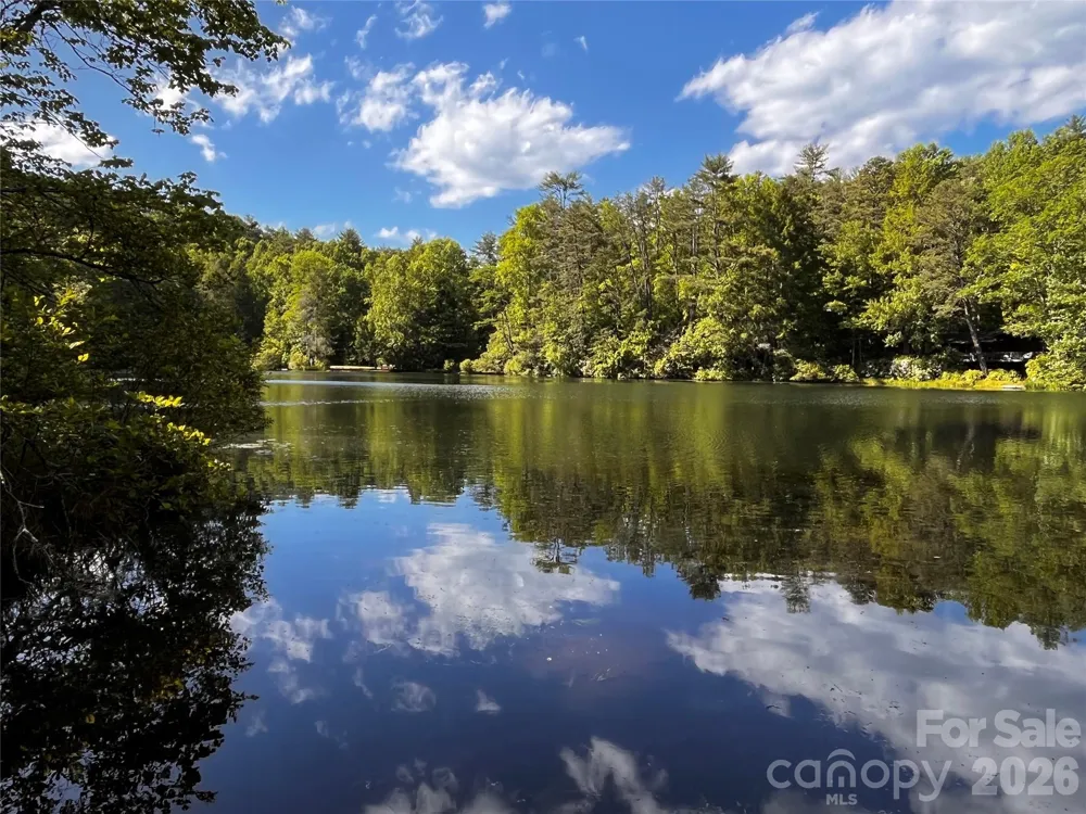 FR16 opossum Path #FR 16 Brevard, NC 28712