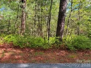 FR16 opossum Path #FR 16 Brevard, NC 28712