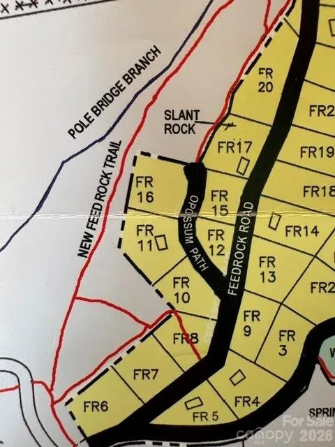 FR16 opossum Path #FR 16 Brevard, NC 28712