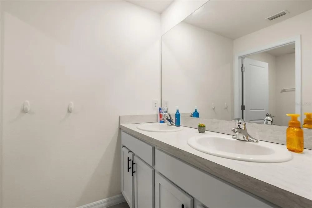 5480 FLINT HILLS DRIVE Wimauma, FL 33598
