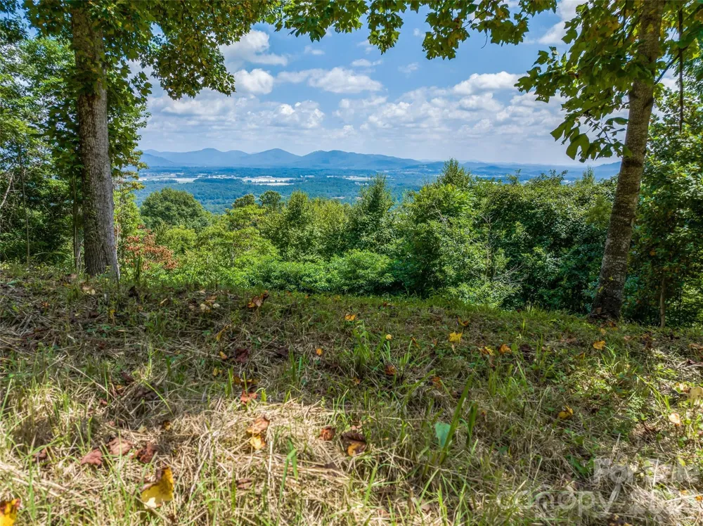 177 Rolling Stone Court #61 Arden, NC 28704