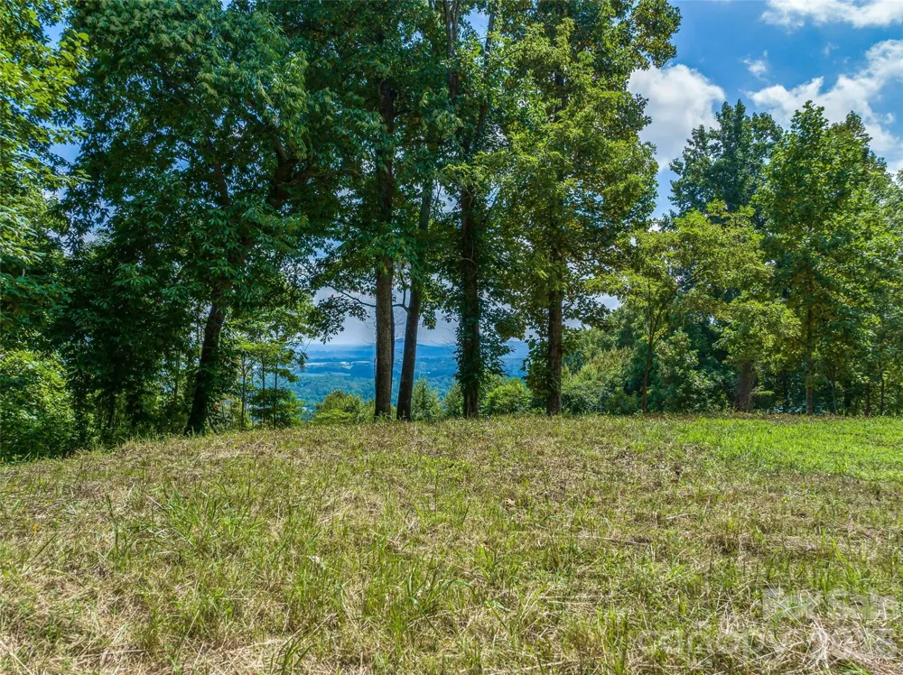 177 Rolling Stone Court #61 Arden, NC 28704
