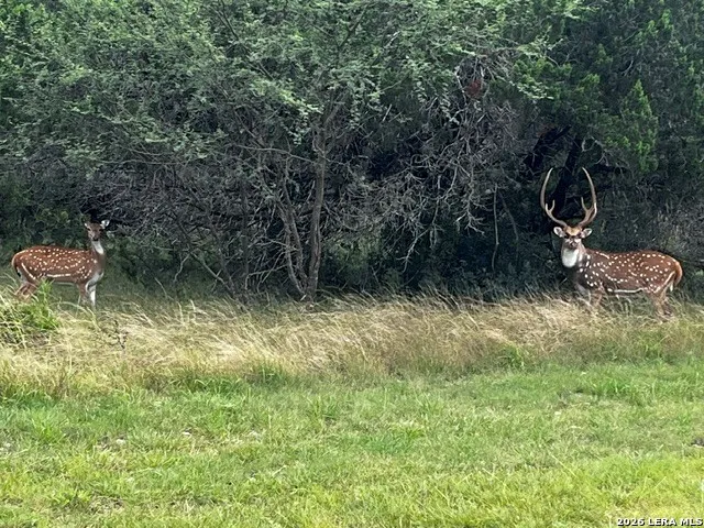 0000 Ridge Loop Leakey, TX 78873