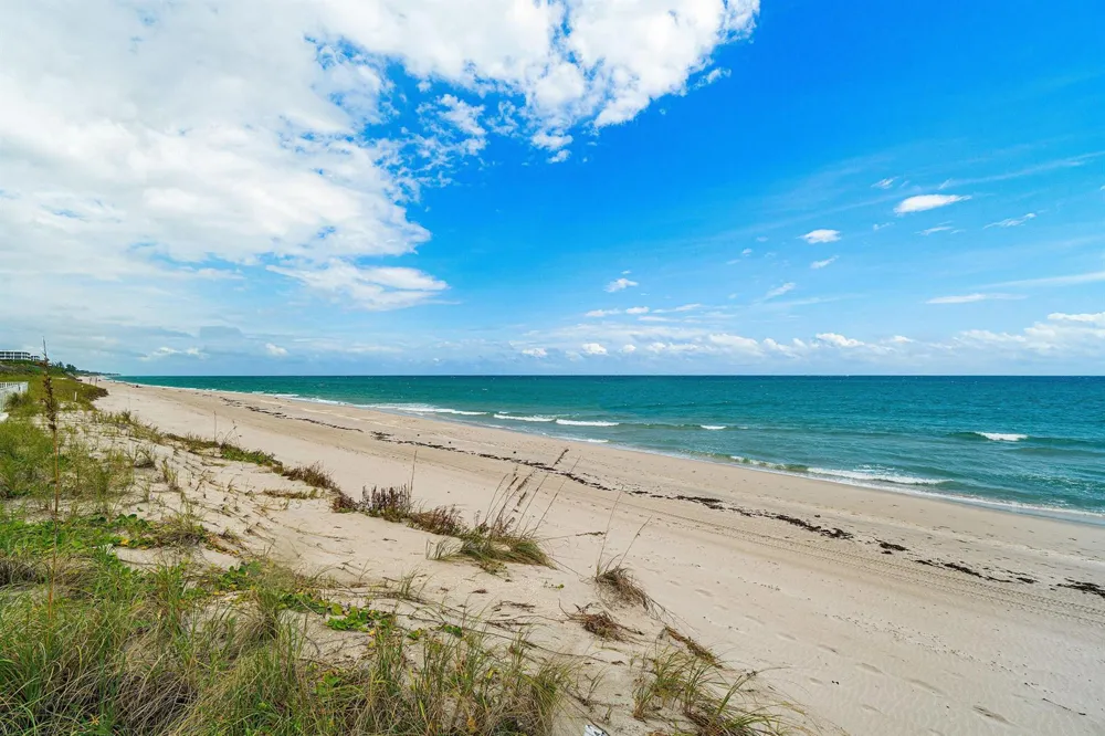 2295 S Ocean Boulevard #425 Palm Beach, FL 33480