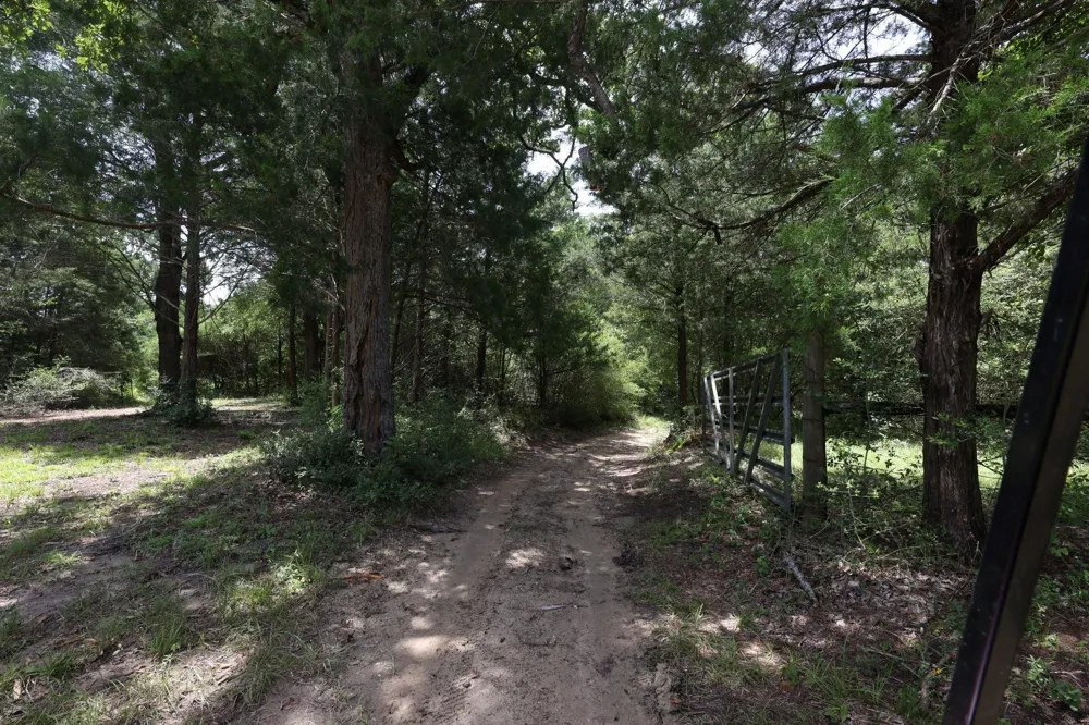 11994 Long Trussel Road Bryan, TX 77808