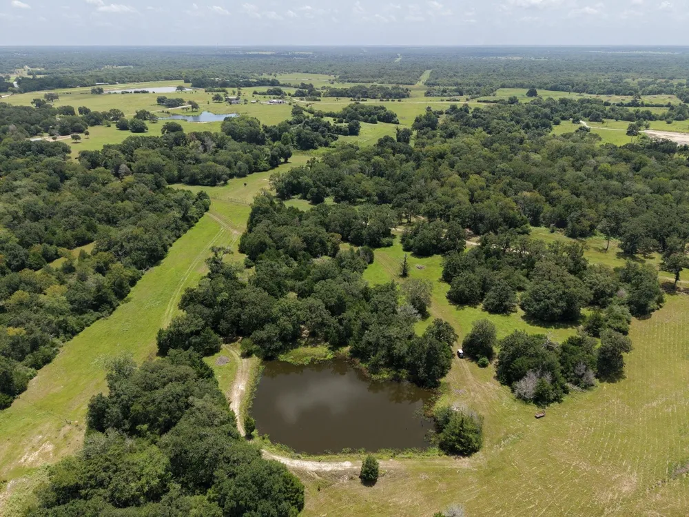 11994 Long Trussel Road Bryan, TX 77808