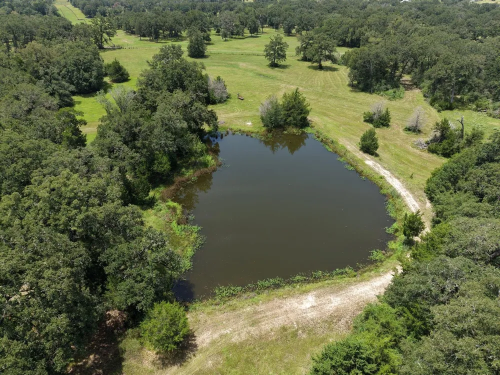 11994 Long Trussel Road Bryan, TX 77808