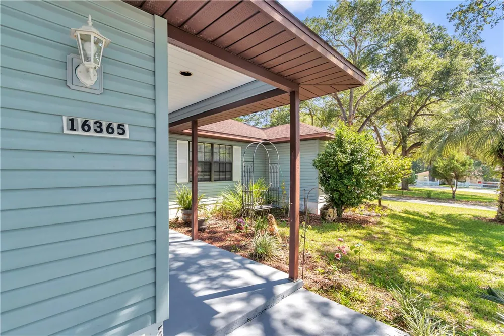 16365 SE 17TH STREET Ocklawaha, FL 32179
