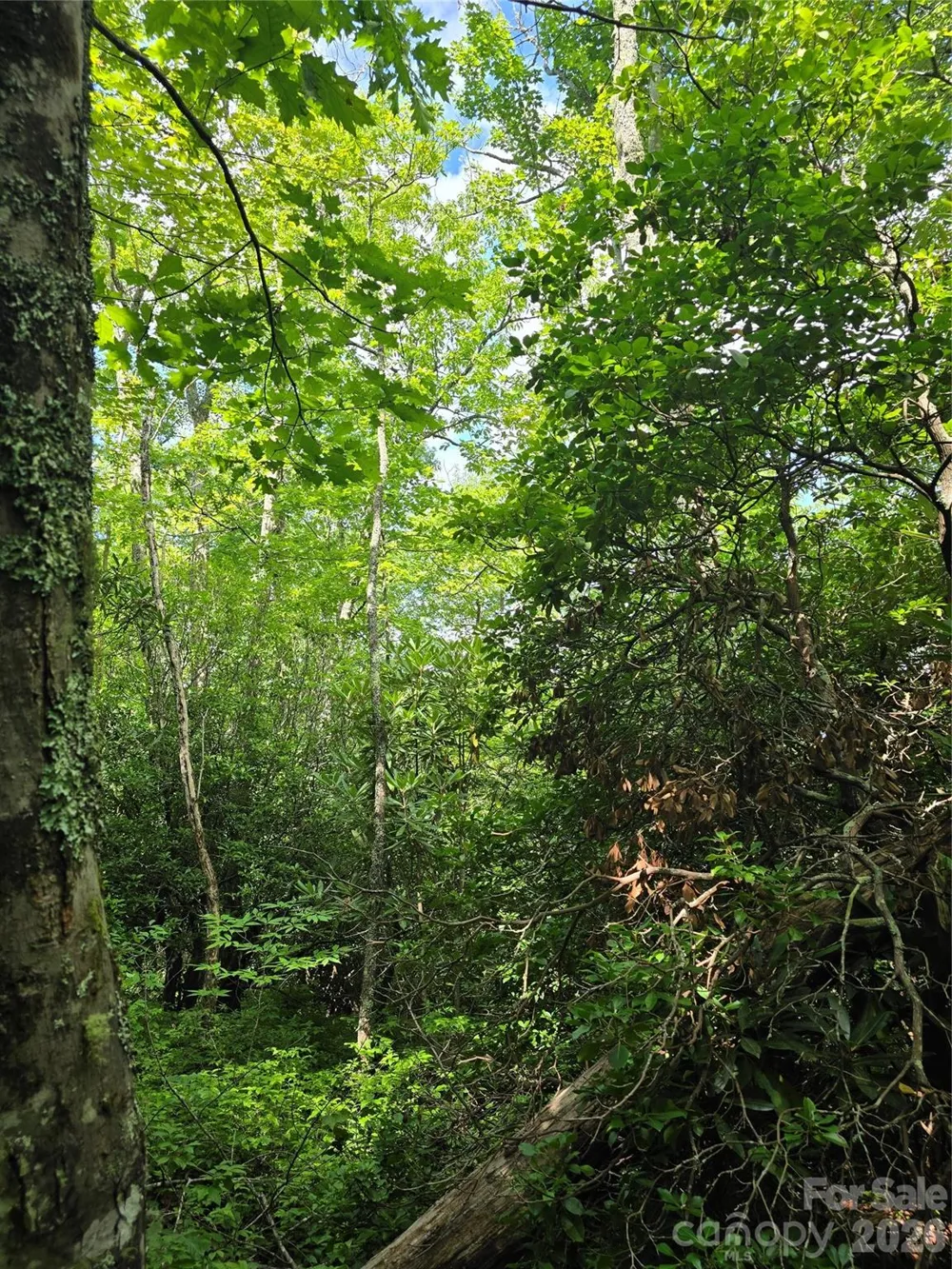0000 Nancy Mountain Road Rosman, NC 28772