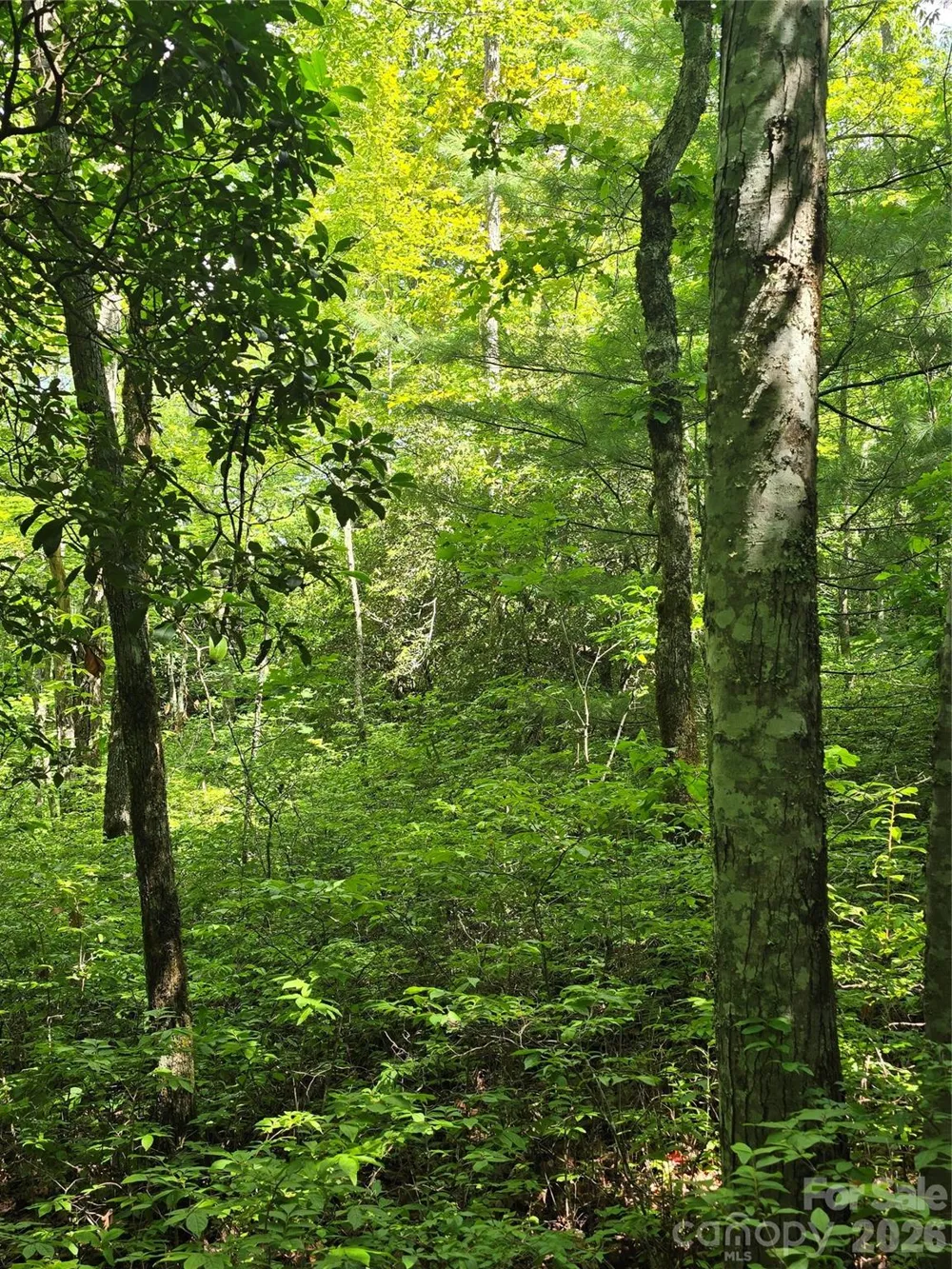 0000 Nancy Mountain Road Rosman, NC 28772