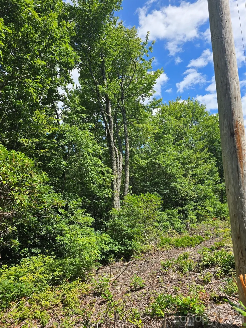 0000 Nancy Mountain Road Rosman, NC 28772