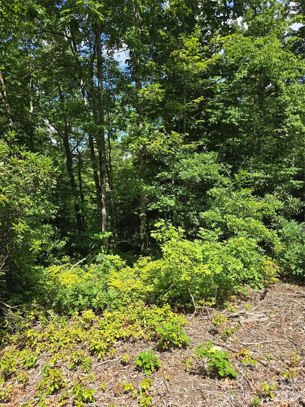 0000 Nancy Mountain Road Rosman, NC 28772