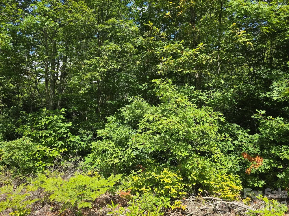 0000 Nancy Mountain Road Rosman, NC 28772