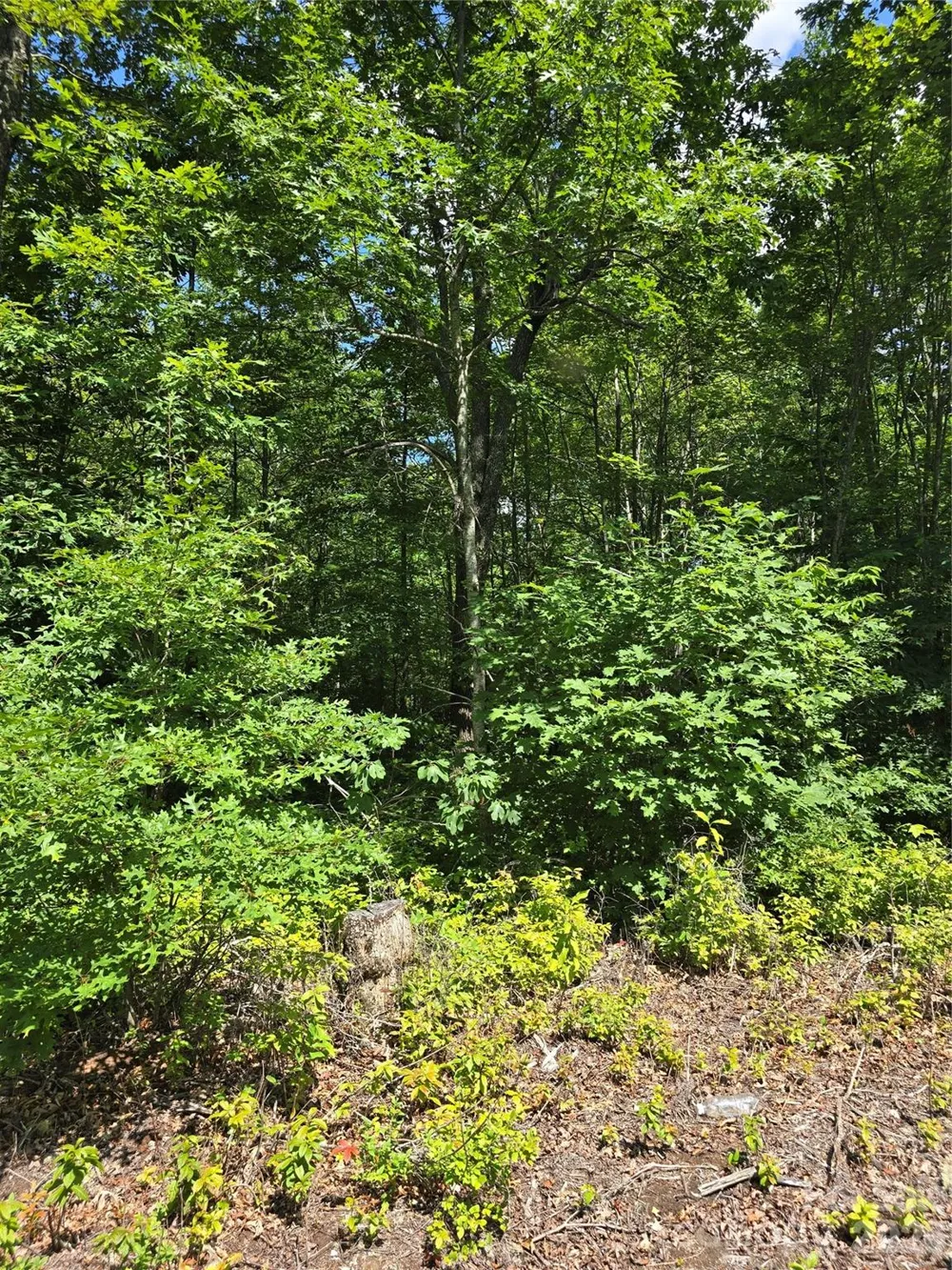 0000 Nancy Mountain Road Rosman, NC 28772