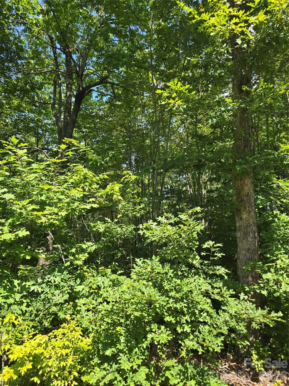 0000 Nancy Mountain Road Rosman, NC 28772