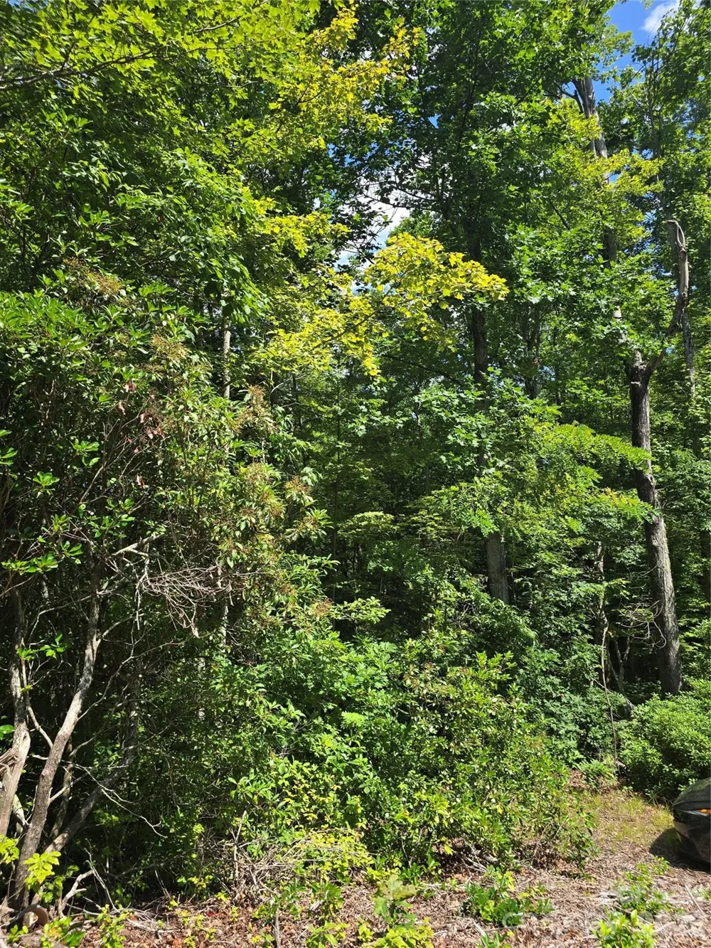 0000 Nancy Mountain Road Rosman, NC 28772