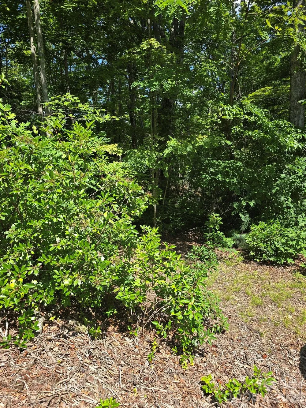 0000 Nancy Mountain Road Rosman, NC 28772