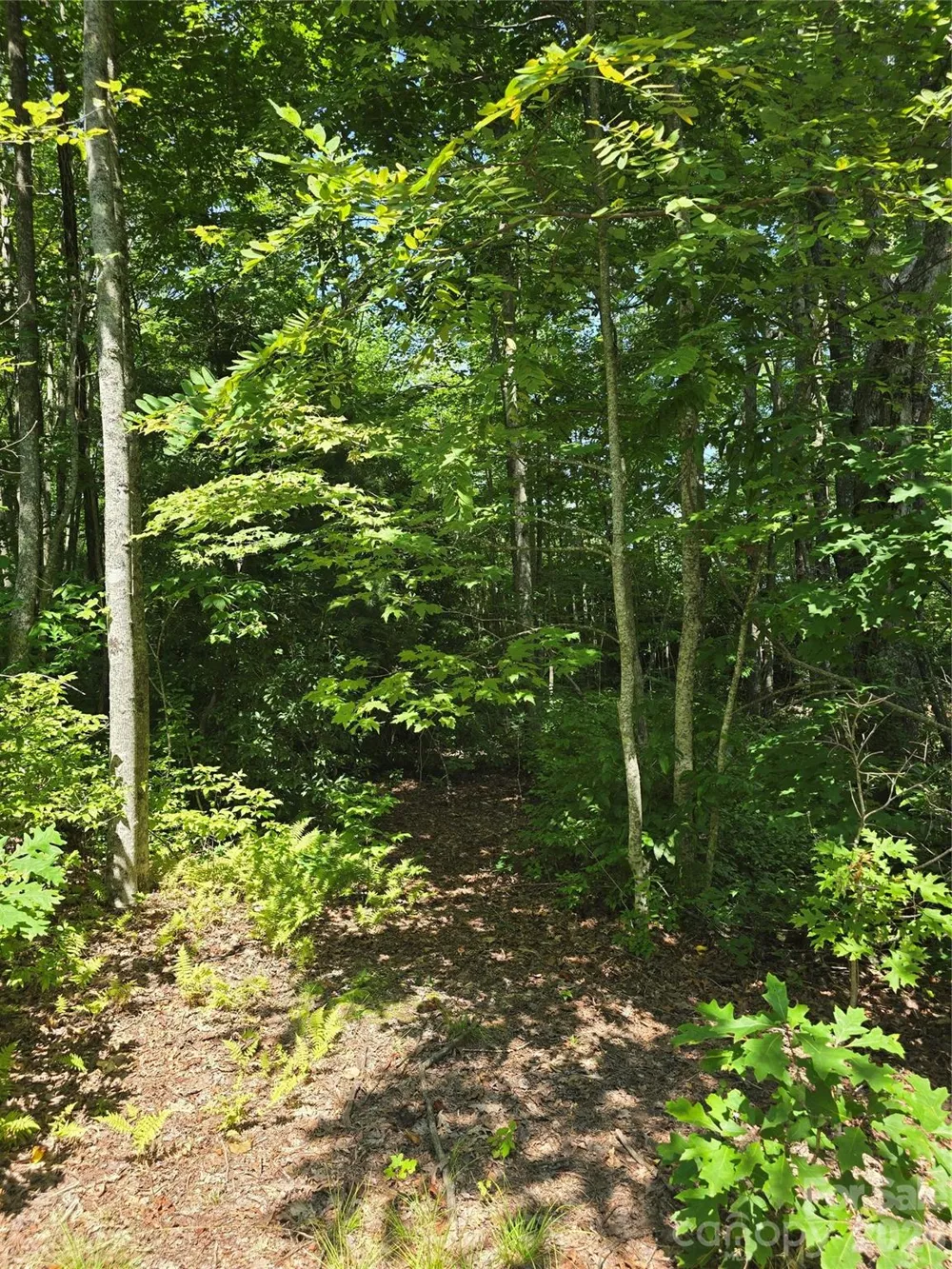 0000 Nancy Mountain Road Rosman, NC 28772