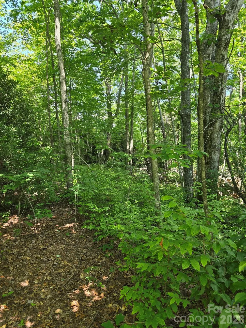 0000 Nancy Mountain Road Rosman, NC 28772