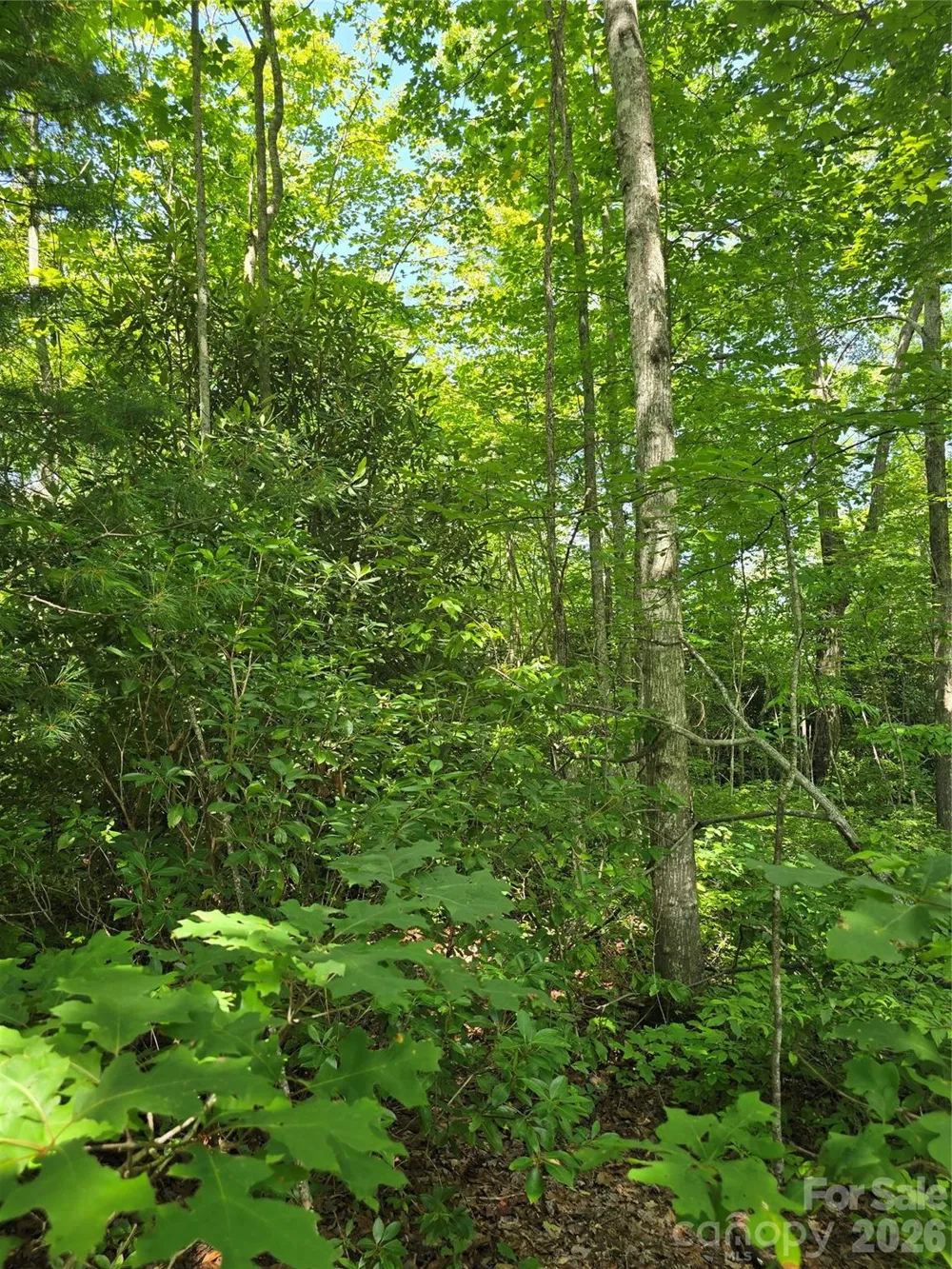 0000 Nancy Mountain Road Rosman, NC 28772