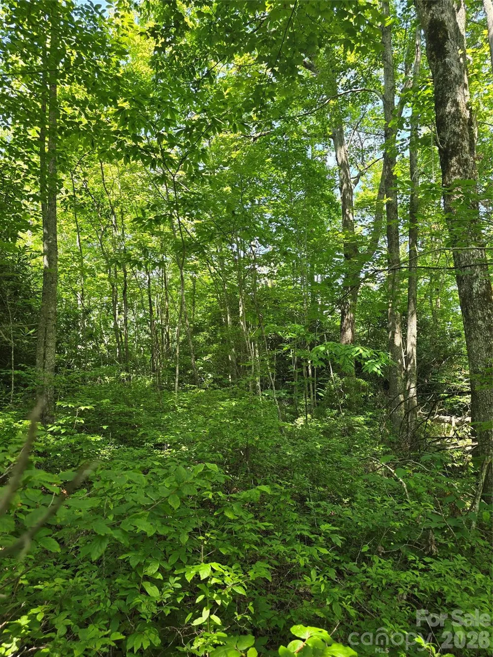 0000 Nancy Mountain Road Rosman, NC 28772