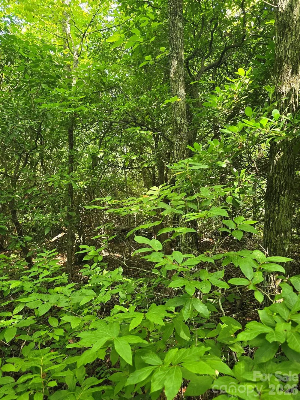 0000 Nancy Mountain Road Rosman, NC 28772