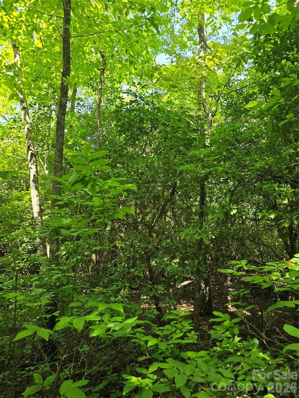 0000 Nancy Mountain Road Rosman, NC 28772