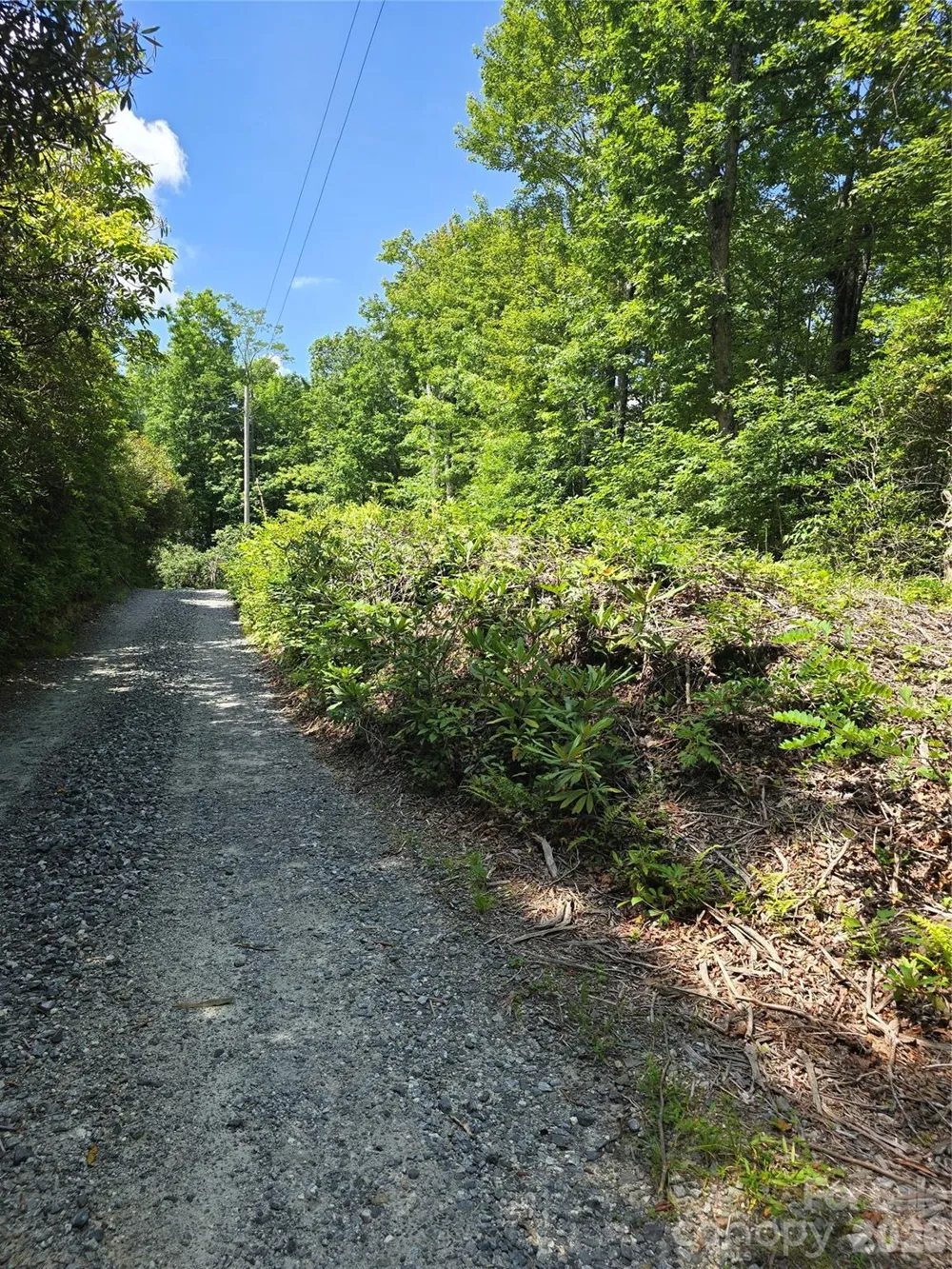 0000 Nancy Mountain Road Rosman, NC 28772