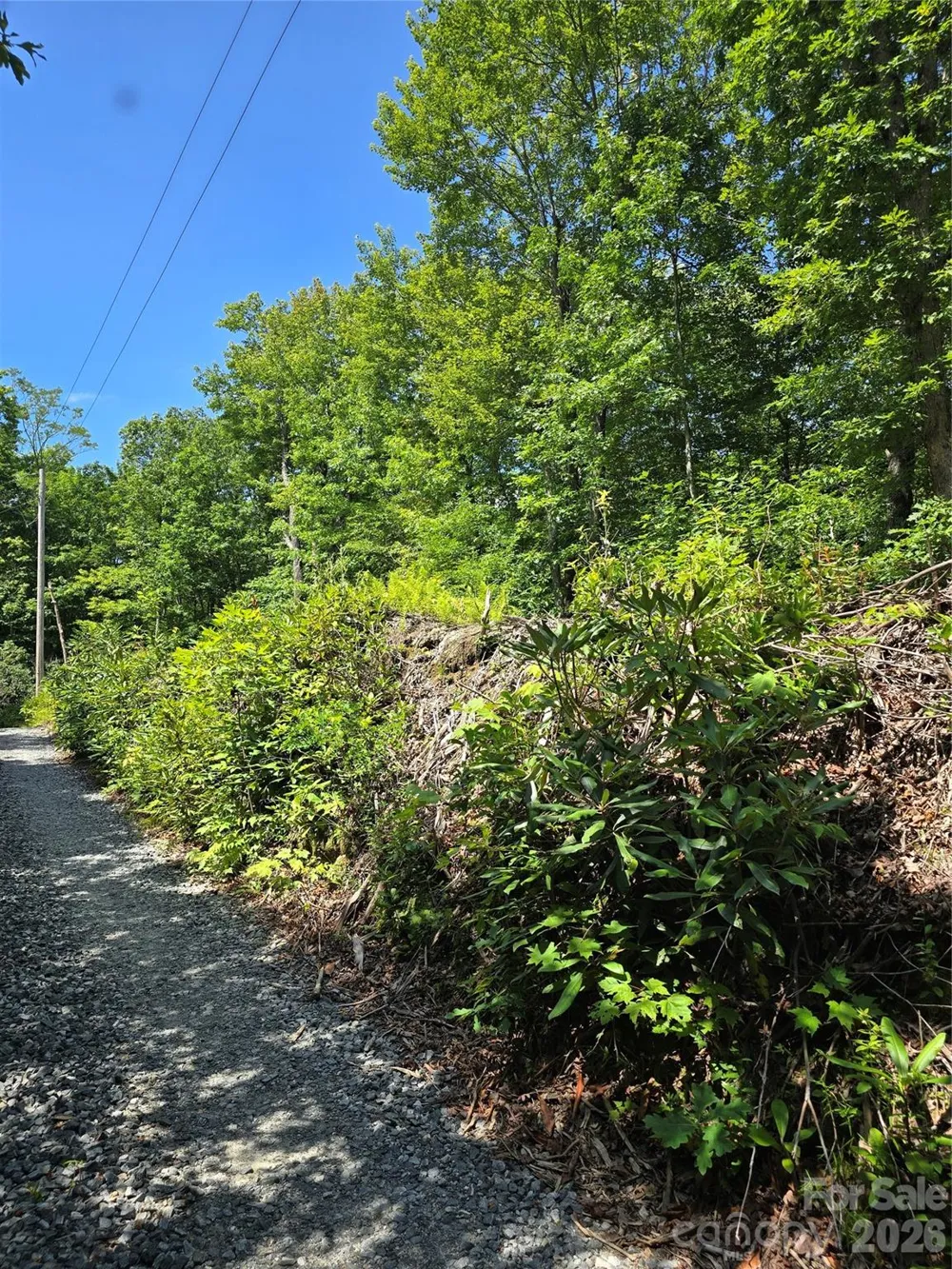 0000 Nancy Mountain Road Rosman, NC 28772