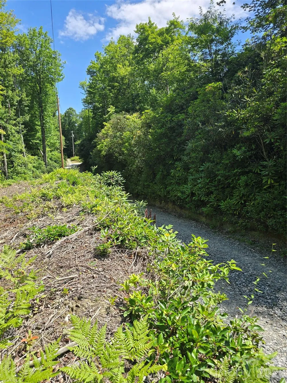 0000 Nancy Mountain Road Rosman, NC 28772