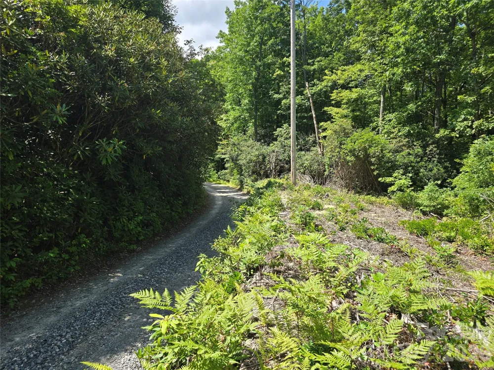 0000 Nancy Mountain Road Rosman, NC 28772